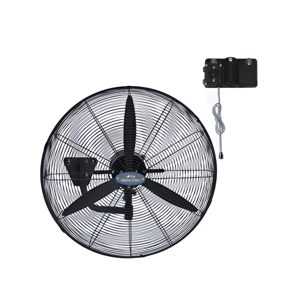 Queen Chef Wall Fan Industrial – 240W, 30", 3 Speeds | DFP-750-TW